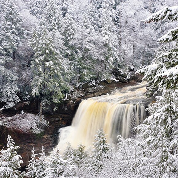 DIABLED POSHER: JG - Picture 6 of 7